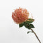 Lyliara Single Bloom Faux Cactus