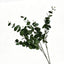 Lyliara Single Bloom Faux Eucalyptus