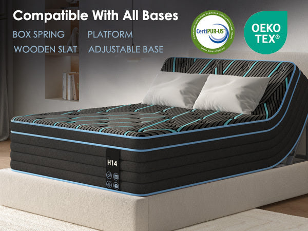 25036583