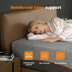 25036450