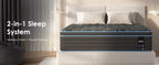 25036594