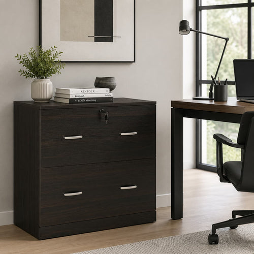 28.25" Lockable 2-Drawer Lateral File Cabinet with Hanging Bars and Two Keys