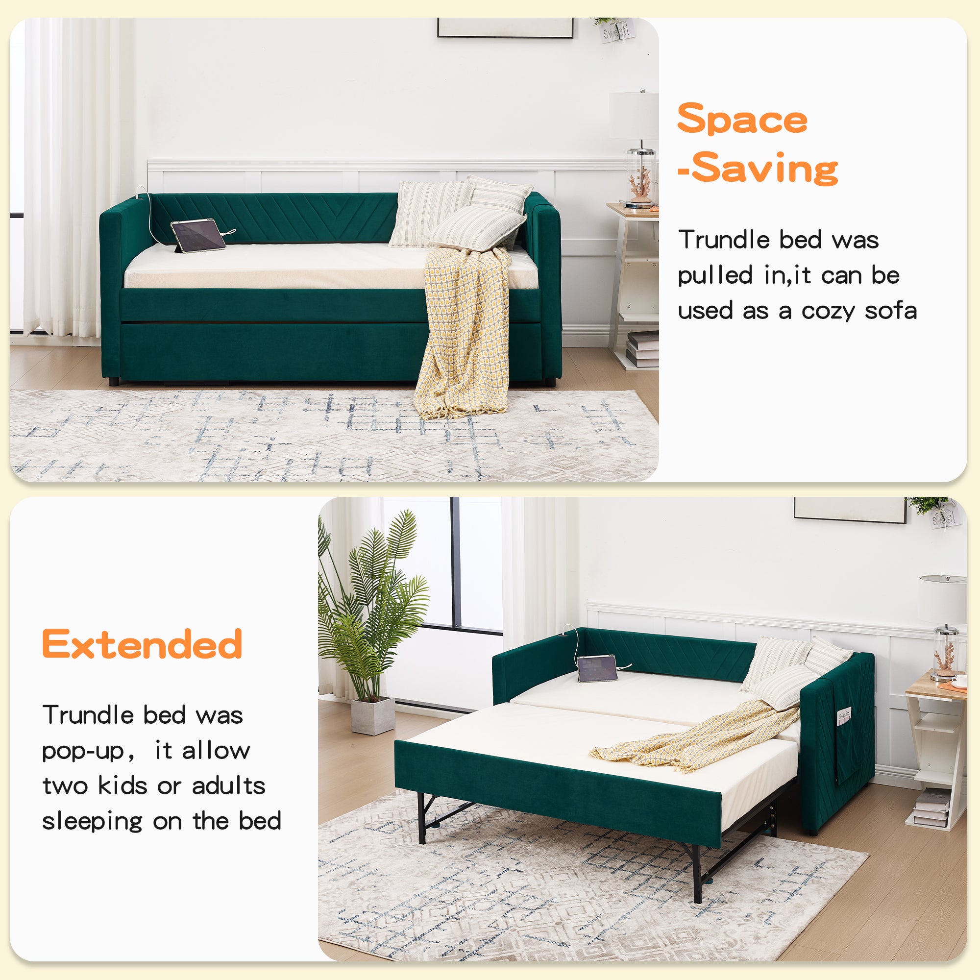 24873804