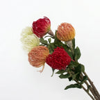 Lyliara Single Bloom Faux Cactus