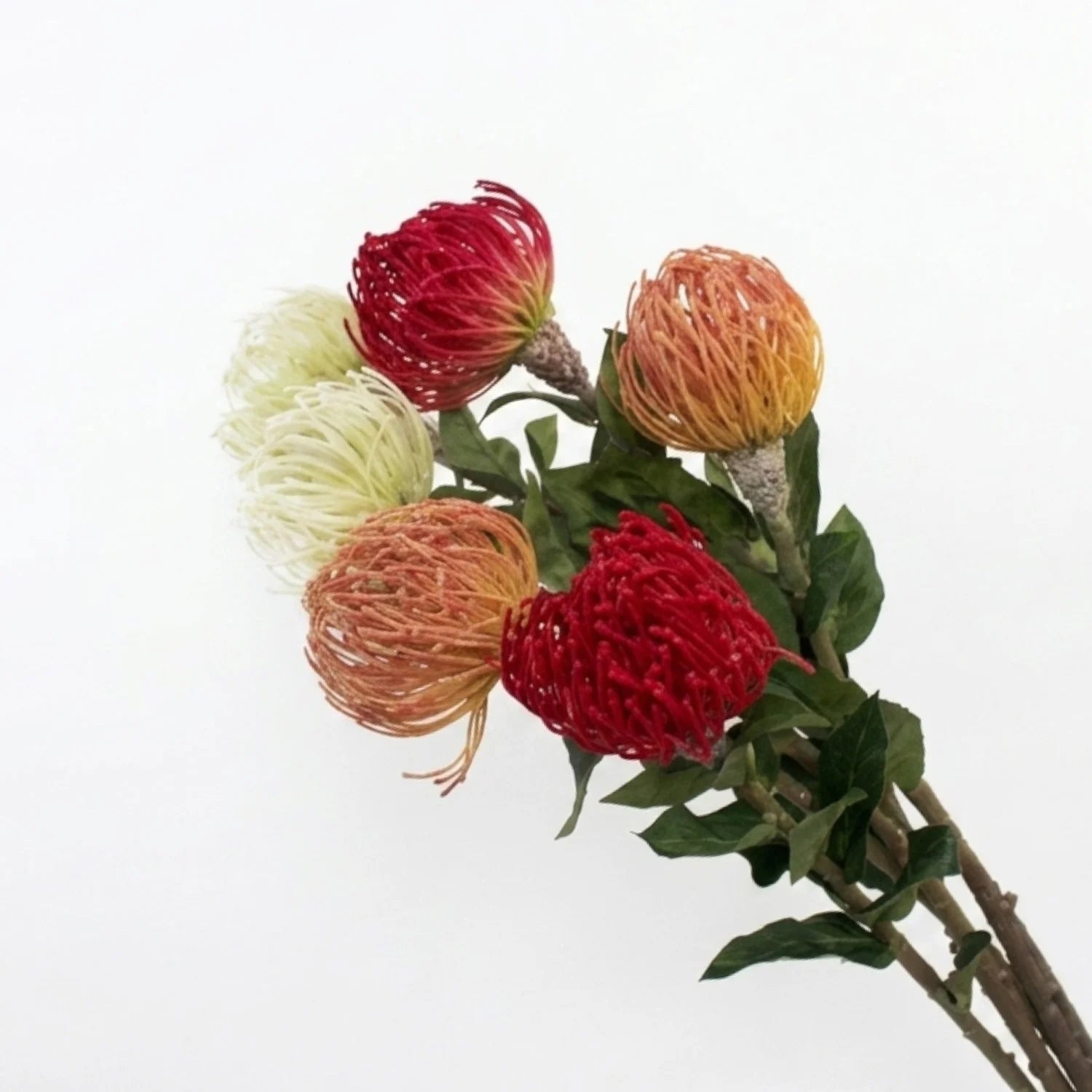 Lyliara Single Bloom Faux Cactus Main image