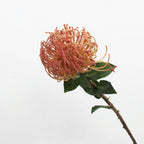 Lyliara Single Bloom Faux Cactus