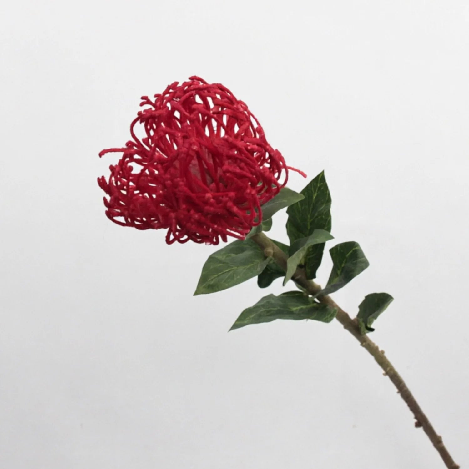 Lyliara Single Bloom Faux Cactus