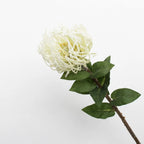 Lyliara Single Bloom Faux Cactus