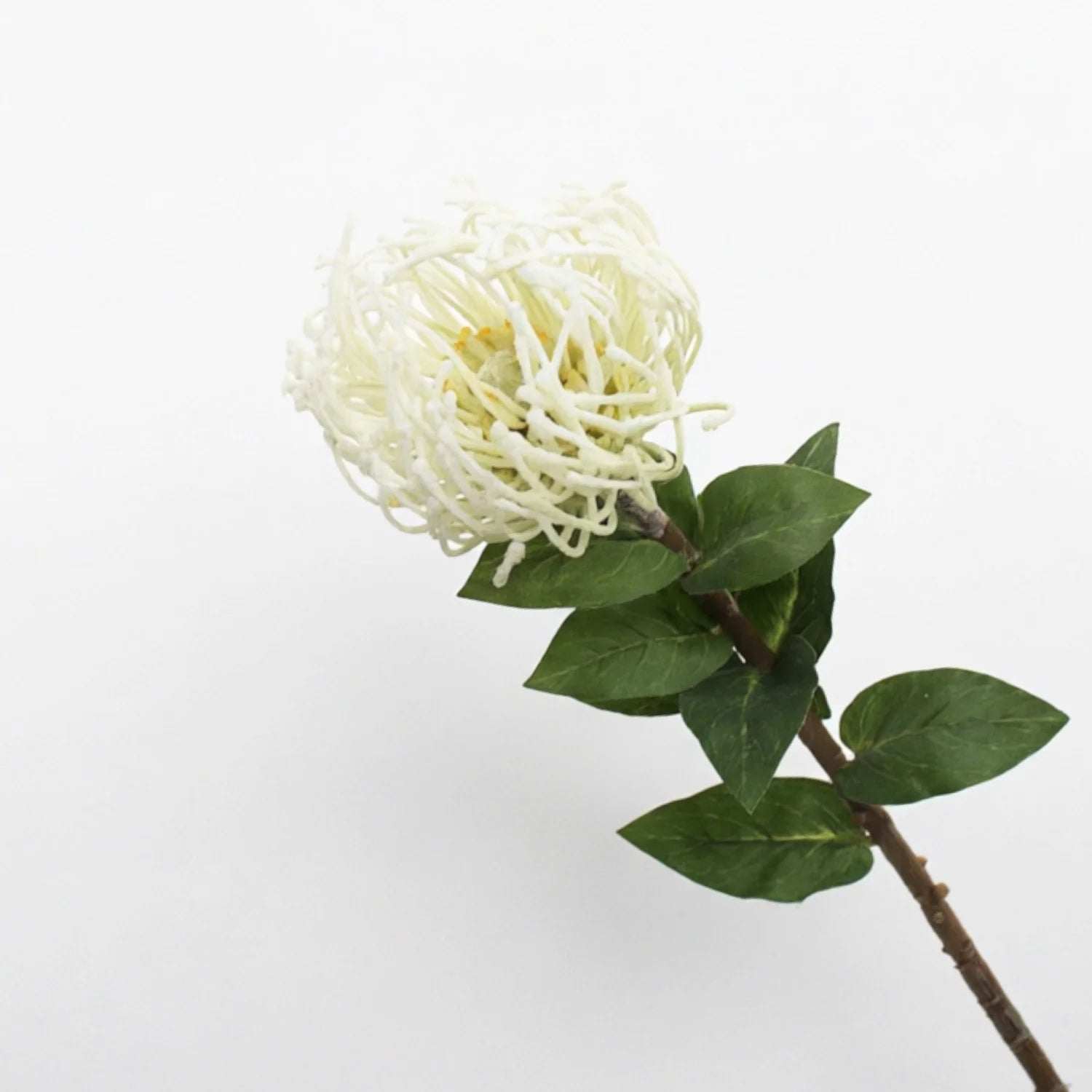 Lyliara Single Bloom Faux Cactus