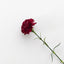Lyliara Single Bloom Faux Carnation