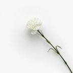Lyliara Single Bloom Faux Carnation