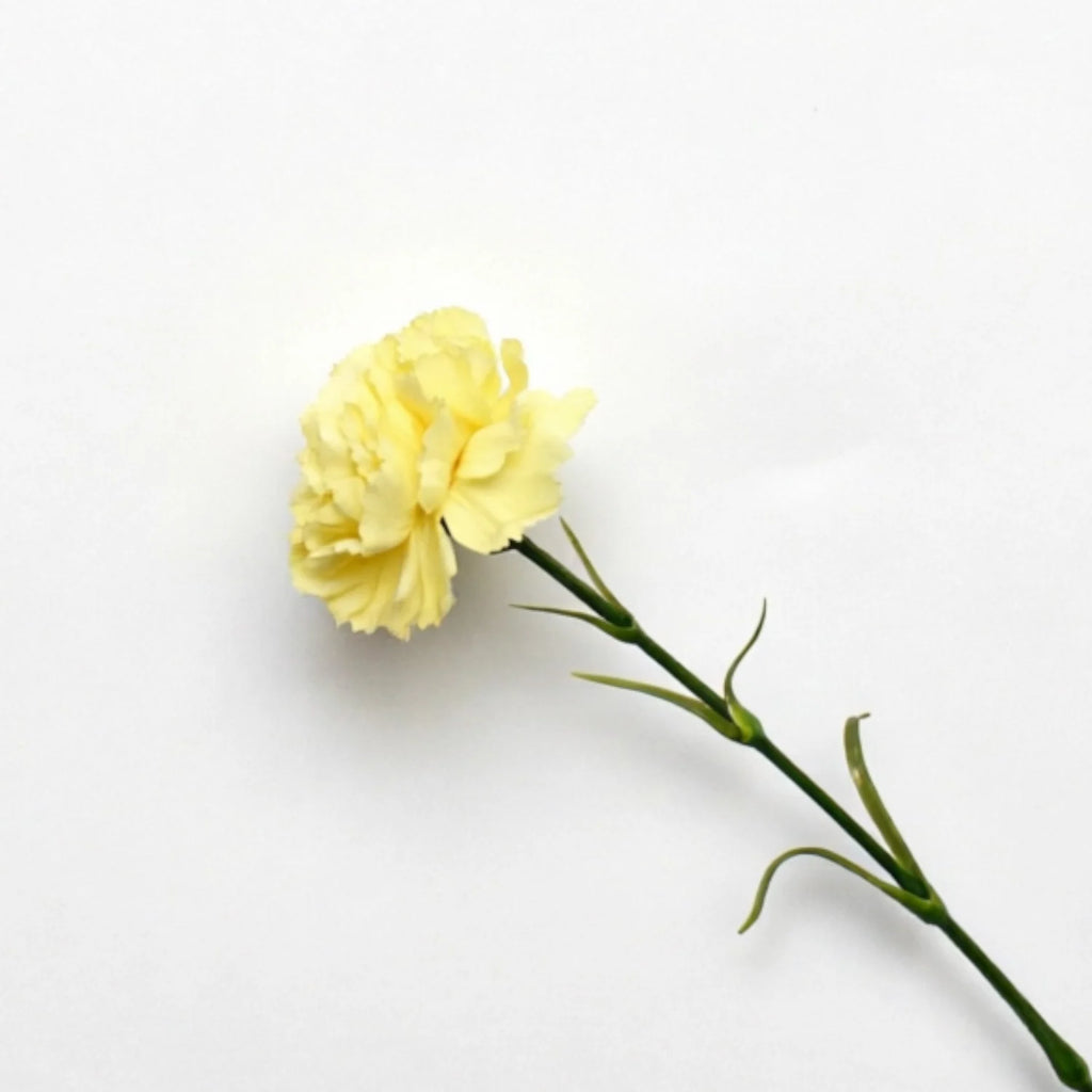 Lyliara Single Bloom Faux Carnation