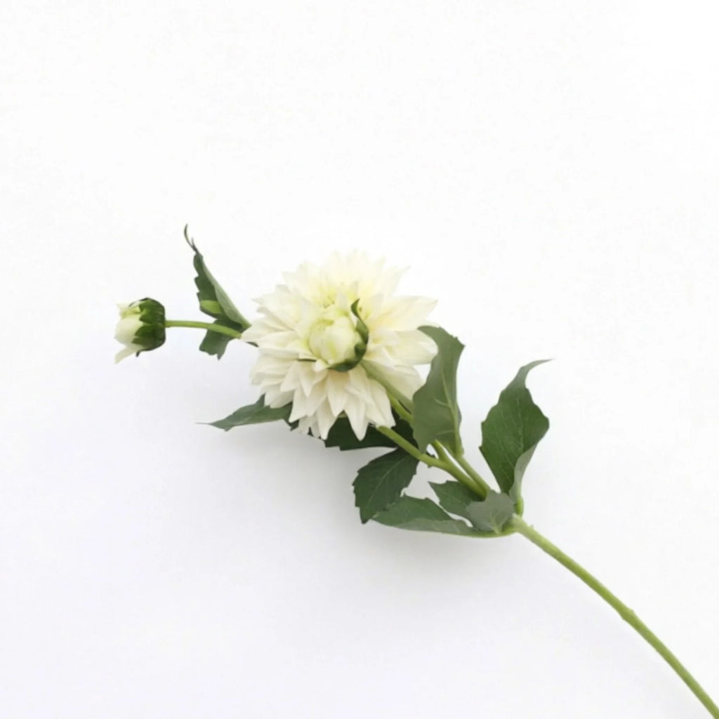 Lyliara Single Bloom Faux Dahlia