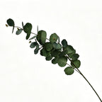 Lyliara Single Bloom Faux Eucalyptus