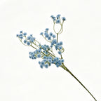 Lyliara Faux Gypsophila