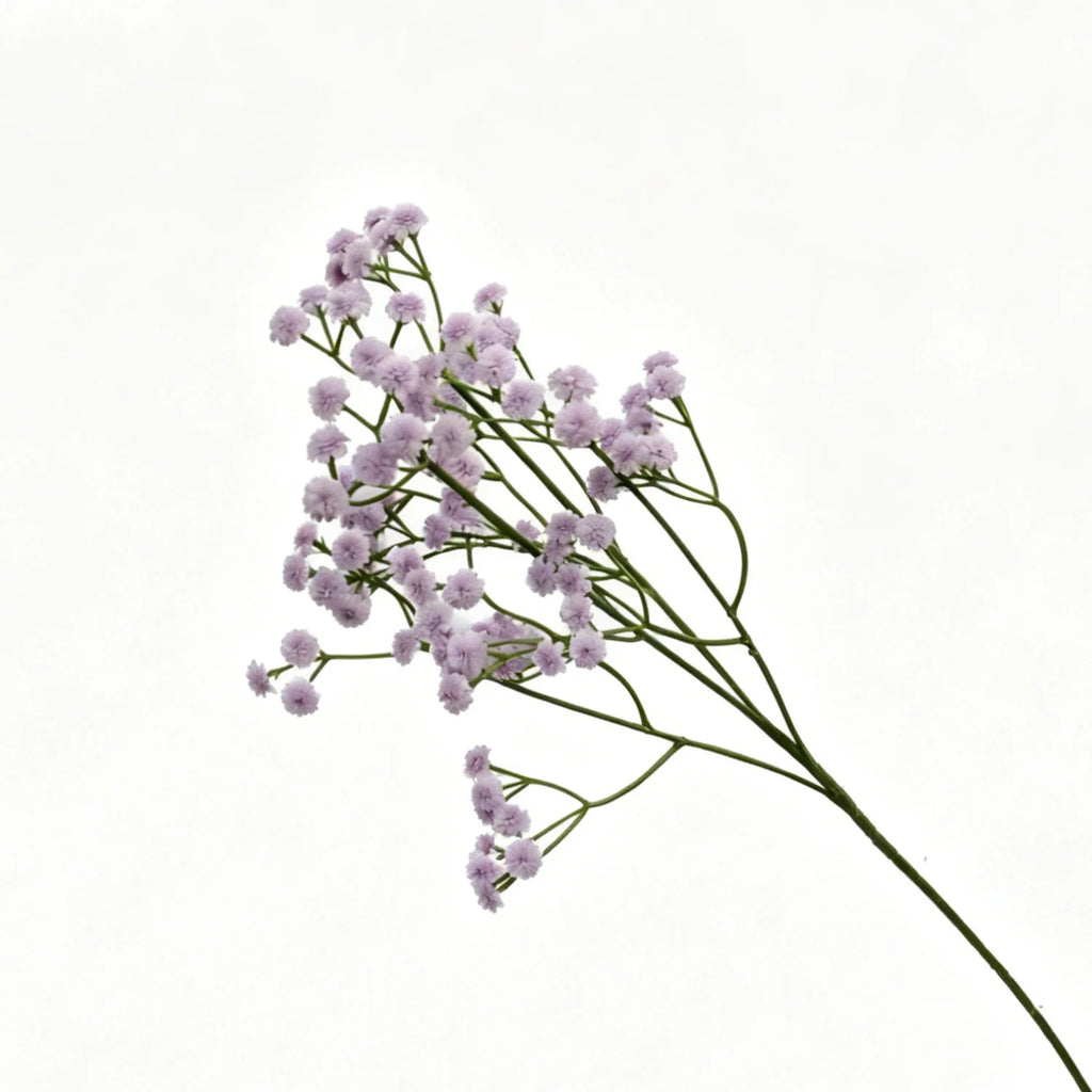 Lyliara Faux Gypsophila