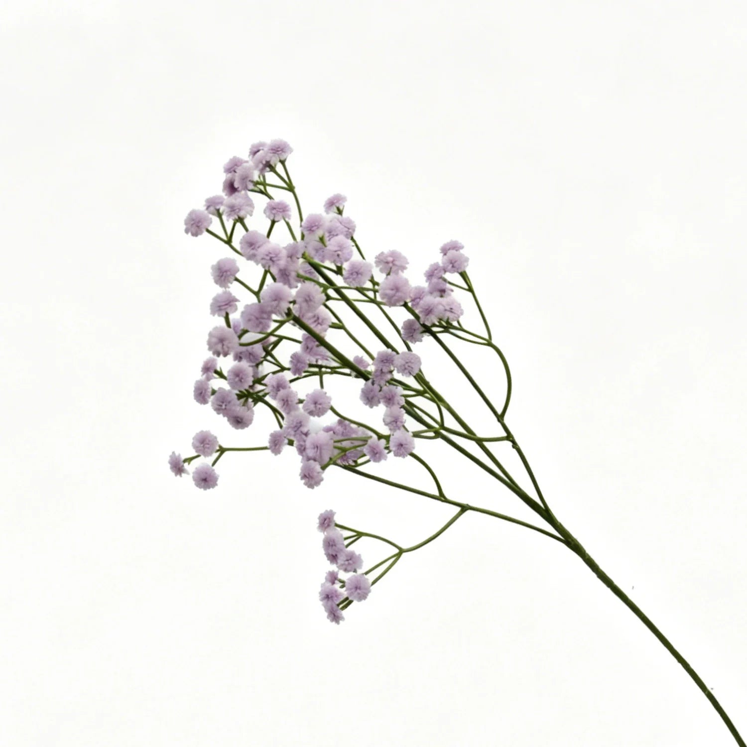 Lyliara Faux Gypsophila