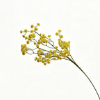 Lyliara Faux Gypsophila