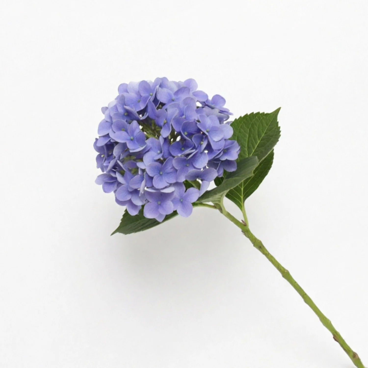 Lyliara Single Bloom Faux Hydrangea