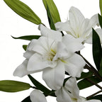 Lyliara Single Bloom Faux Lily