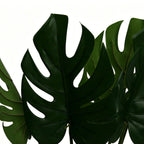 Lyliara Faux Monstera