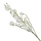 Lyliara Faux Oncidium Orchid