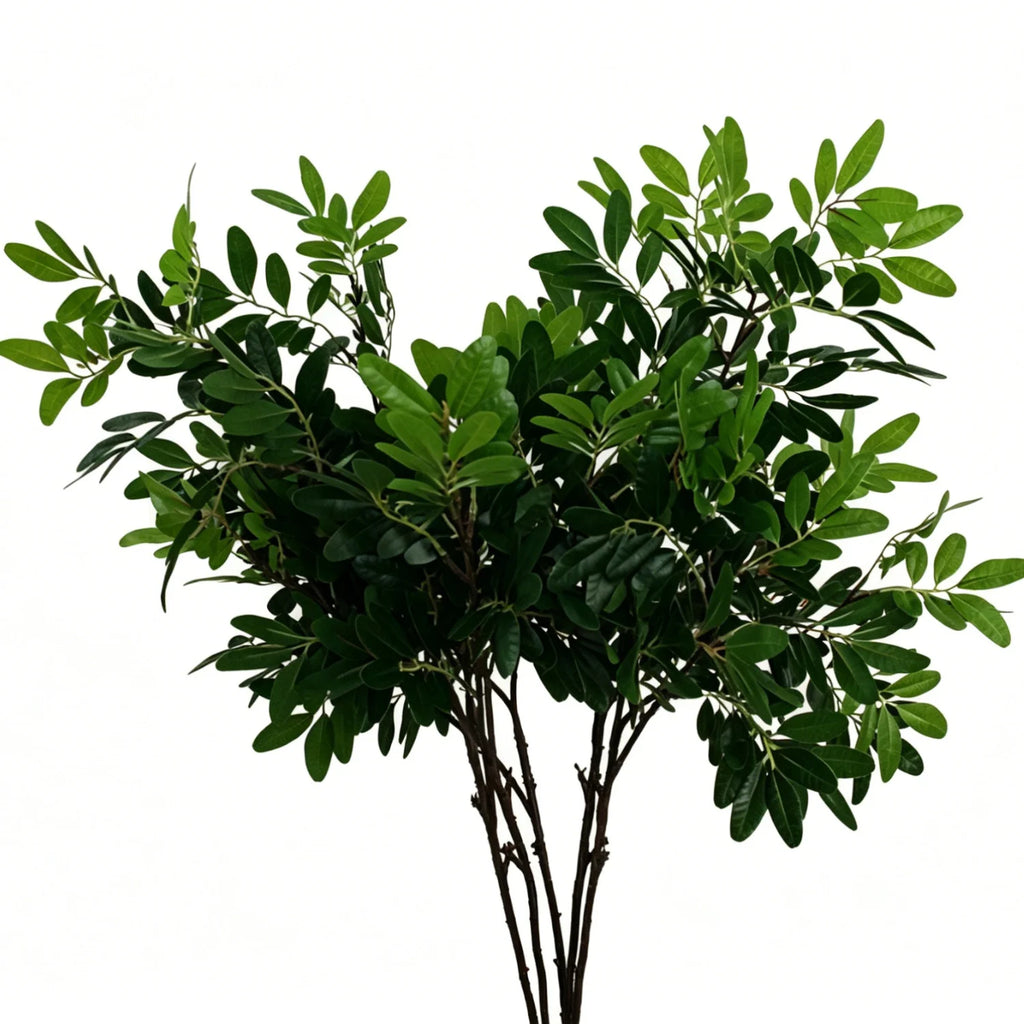 Lyliara Faux Osmanthus