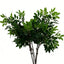 Lyliara Faux Osmanthus