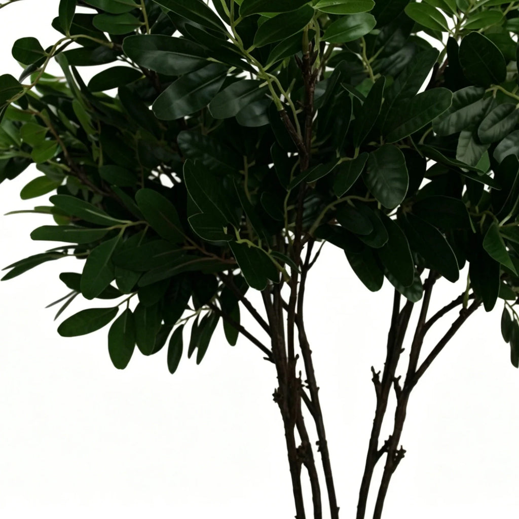 Lyliara Faux Osmanthus