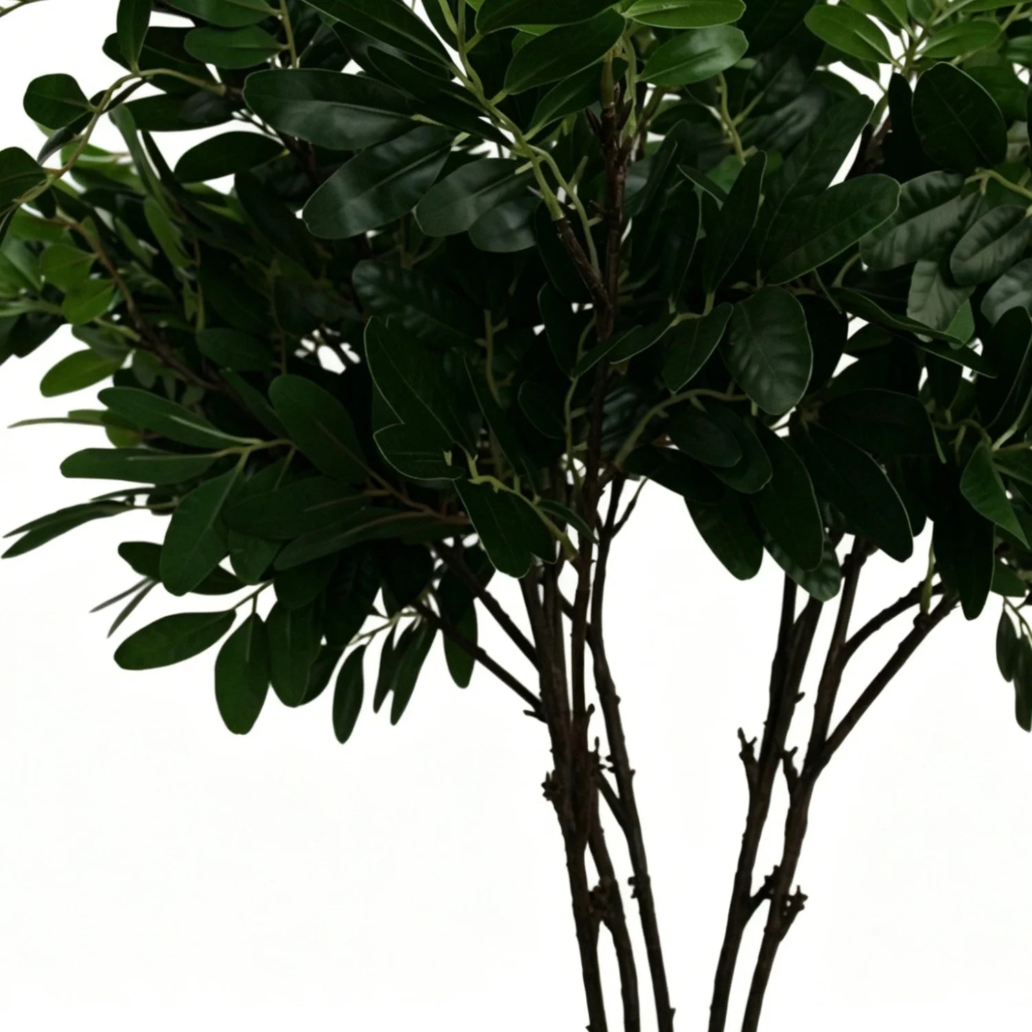 Lyliara Faux Osmanthus
