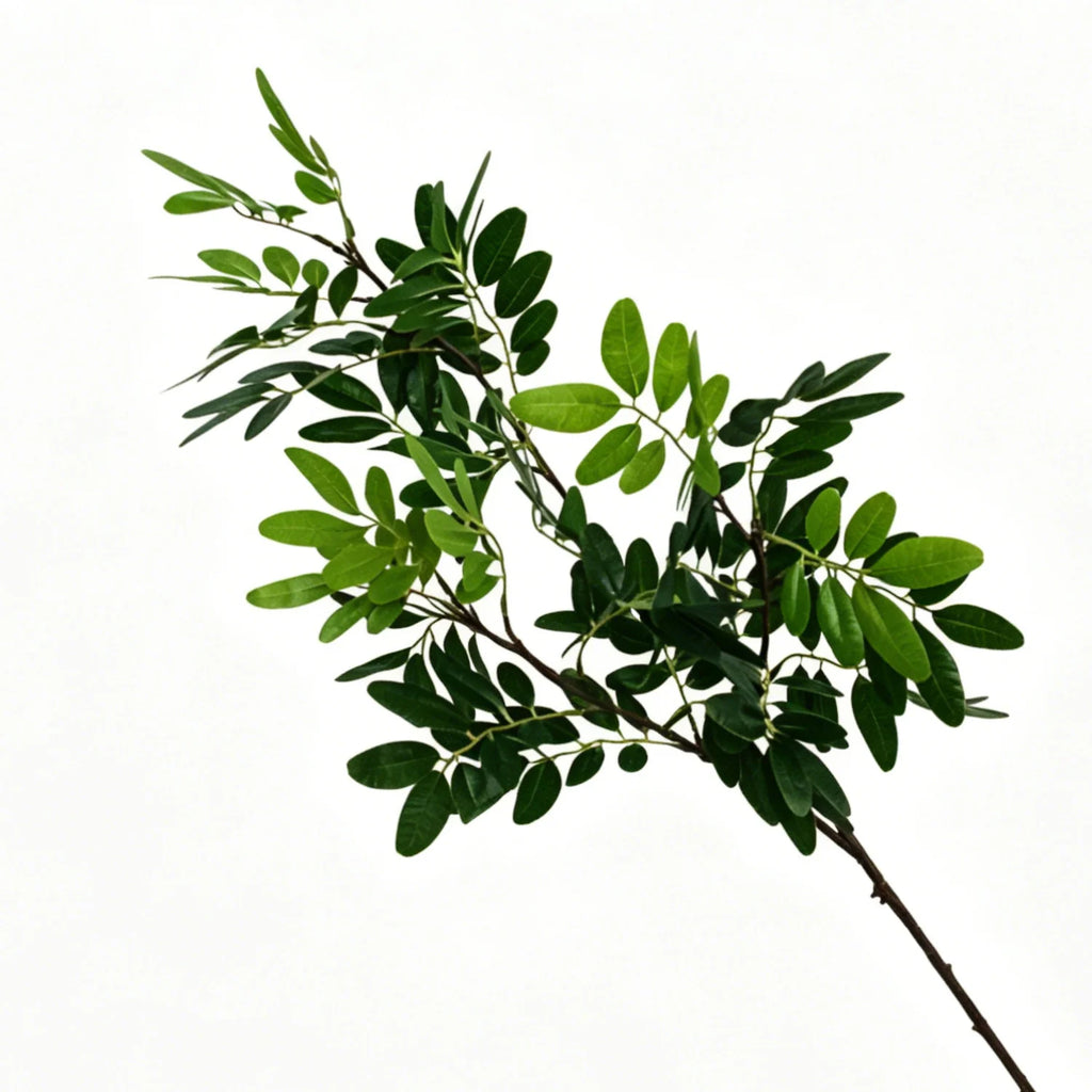 Lyliara Faux Osmanthus
