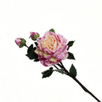 Lyliara Single Bloom Faux Peony