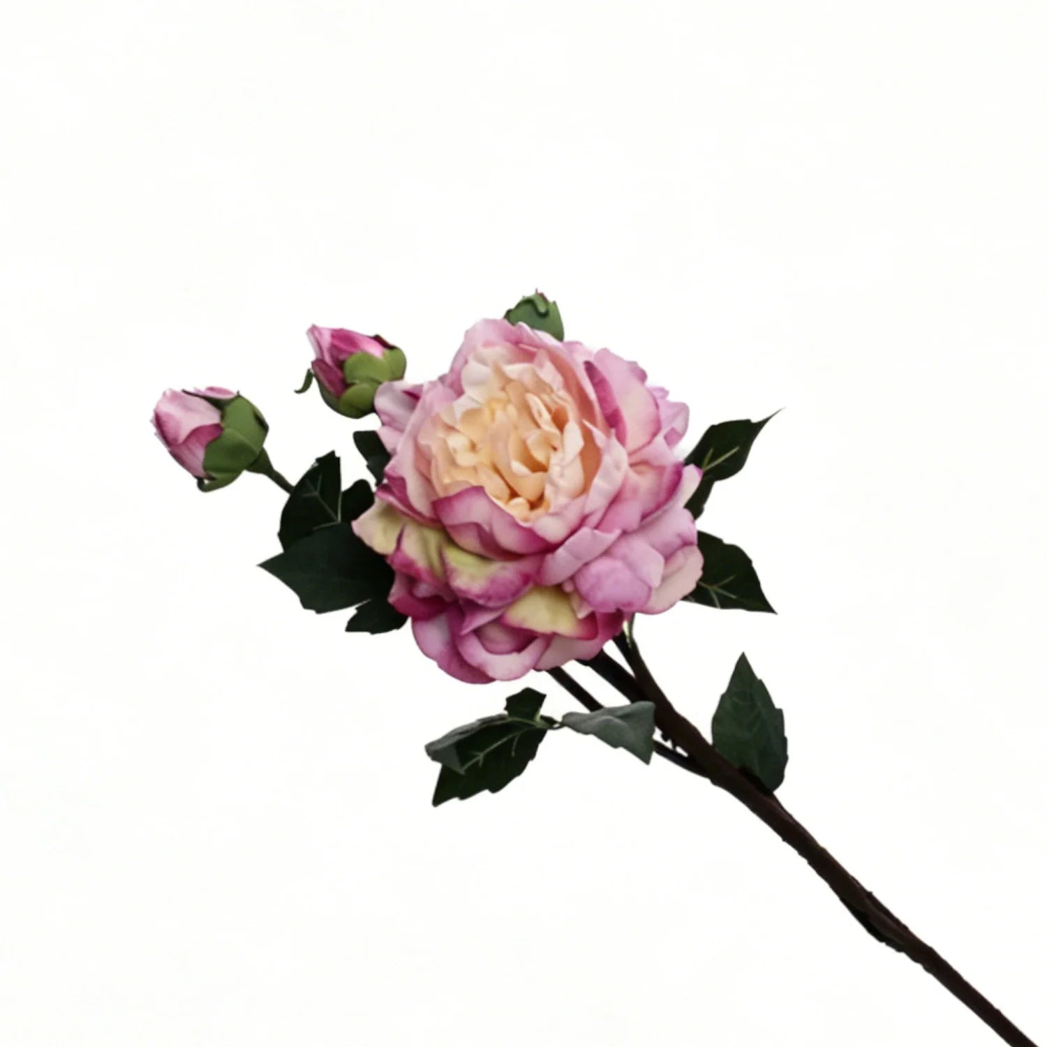 Lyliara Single Bloom Faux Peony