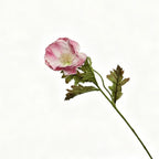 Lyliara Single Bloom Faux Poppy