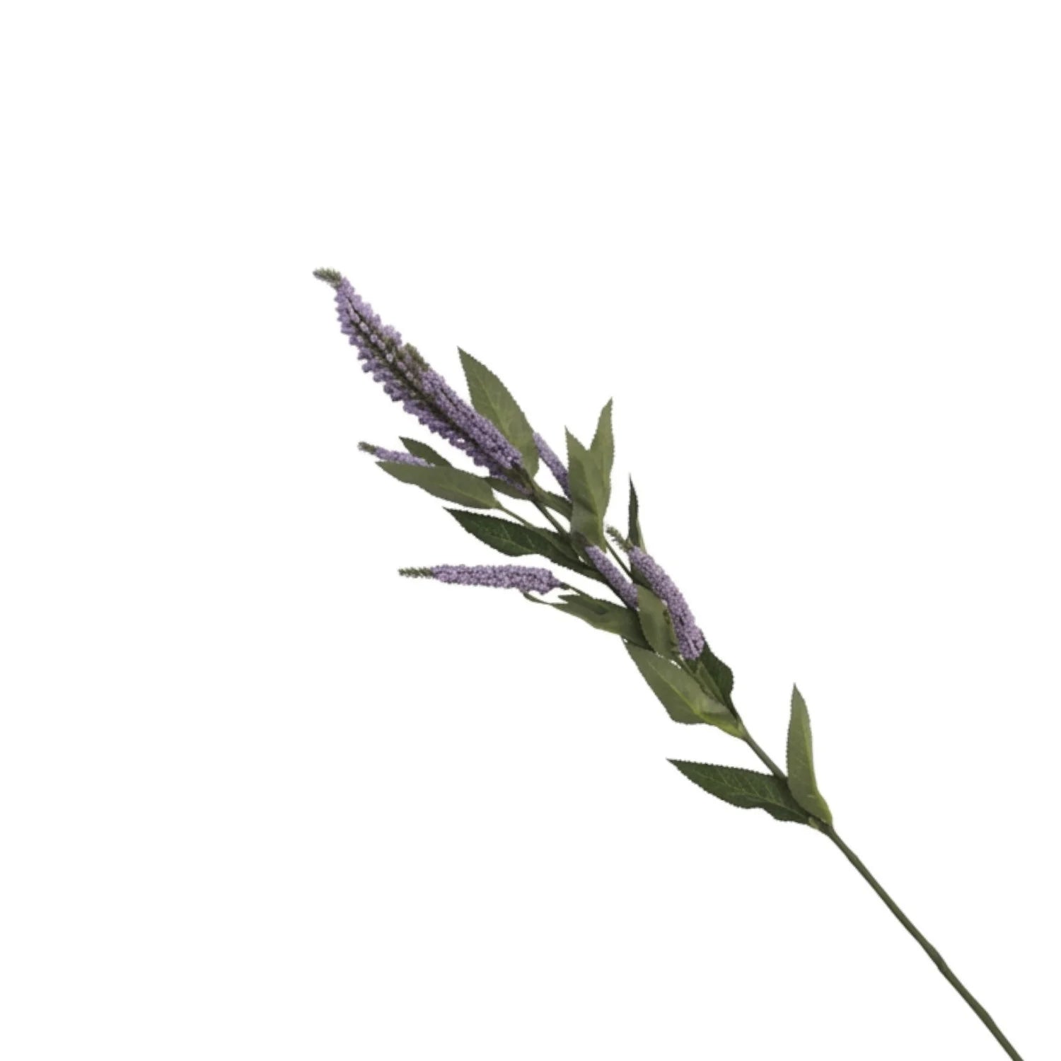 Lyliara Faux Sage