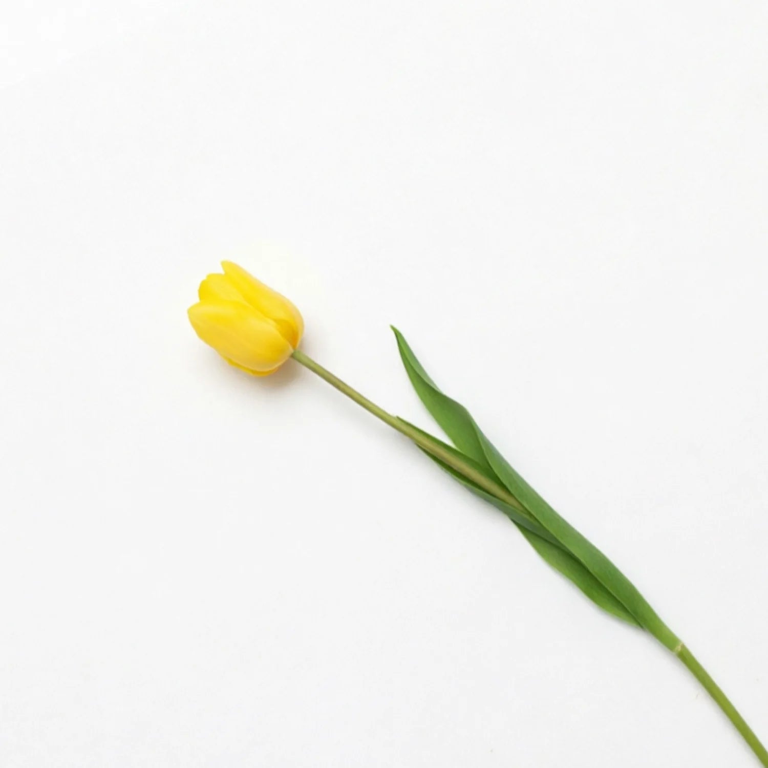 Lyliara Single Bloom Faux Tulip